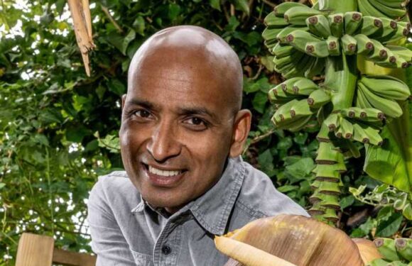 June’s heatwave finally helped me grow a tropical fruit in my East London garden | The Sun