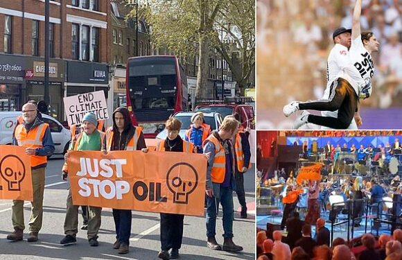Just Stop Oil role-play as 'a woman whose child is dying'