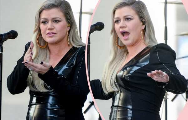 Kelly Clarkson Drops Shady NSFW Response To Female Fan's 'Hall Pass' Sign! Watch!
