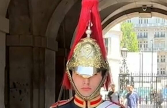 King's Guard melts hearts by making a rare break in protocol