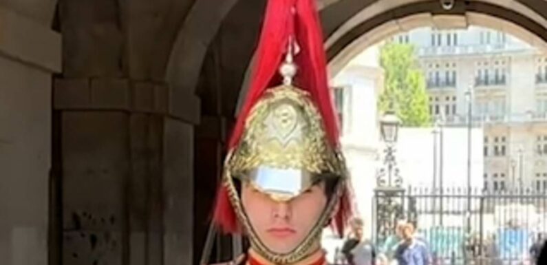 King's Guard melts hearts by making a rare break in protocol