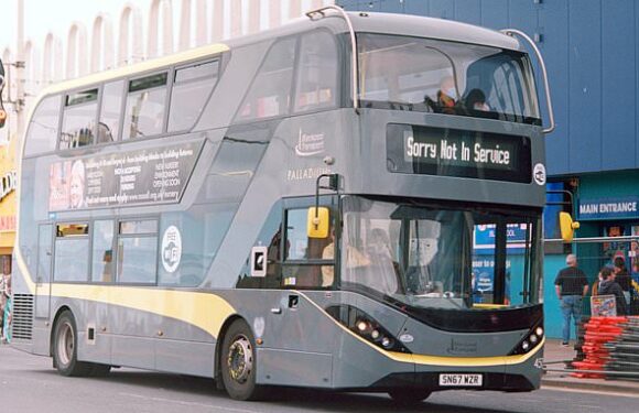 Labour council row over zero-emissions buses from China