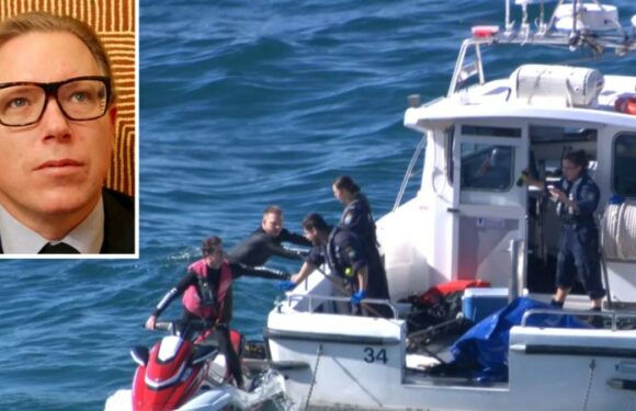 Leading art dealer Tim Klingender found dead in Sydney Harbour