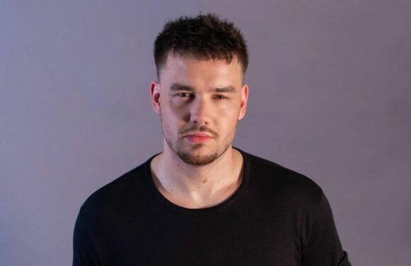 Liam Payne Has Hard Time Staying Sober Due to ‘Manic Things’ in His Life