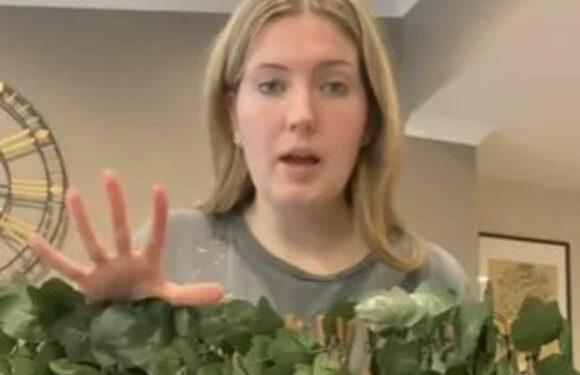 Looking at my horrible fence made me yawn so I jazzed it up thanks to bargain buys from B&M – mean trolls still whine | The Sun