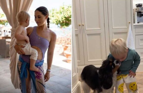 Louise Thompson mum-shamed over 'dangerous' video of dog with her 18 month old baby | The Sun