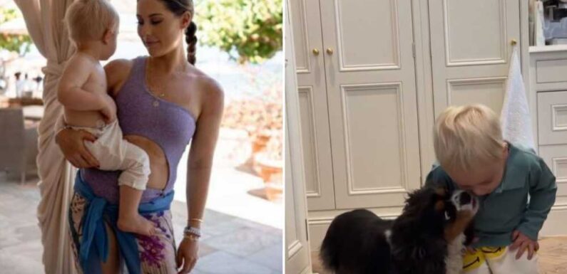 Louise Thompson mum-shamed over 'dangerous' video of dog with her 18 month old baby | The Sun