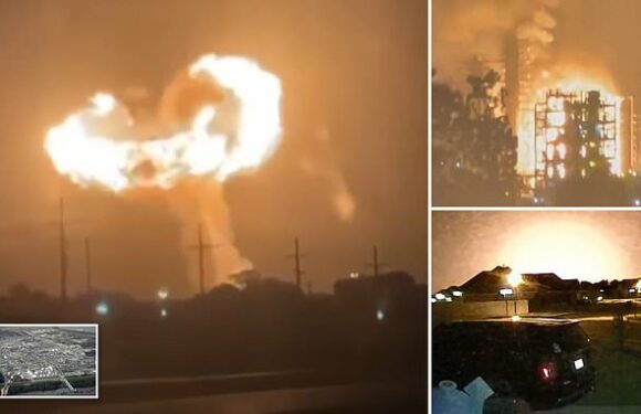 Louisiana chemical plant explodes into ball of fire