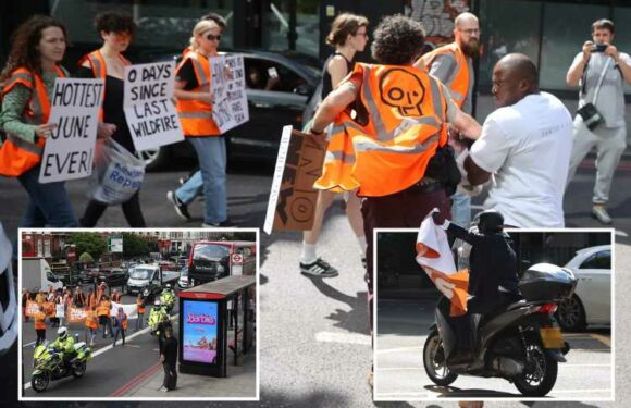 Man confronts eco-yobs as ‘14 protests’ block roads and causes chaos in biggest EVER slow-march demo | The Sun