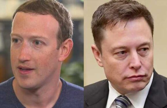 Mark Zuckerberg Shows His Blue Belt in Jiu Jitsu After Accepting Cage Fight Challenge From Elon Musk