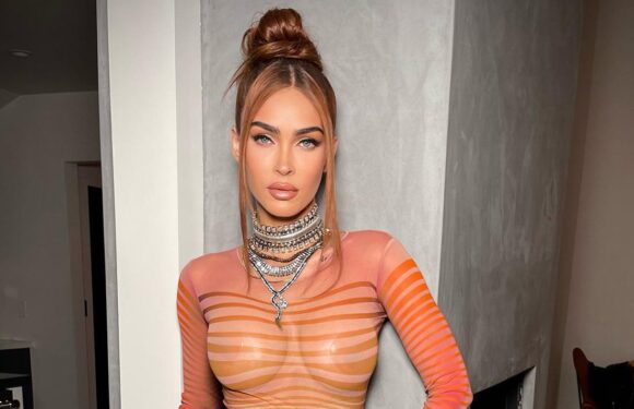 Megan Fox Shuts Down Trolls Before They Can Hate on Her Sheer Dress