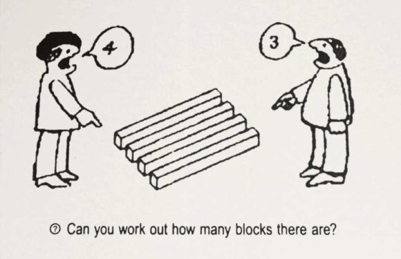 Mind-bending optical illusion sparks huge debate – but how many blocks do you see? | The Sun