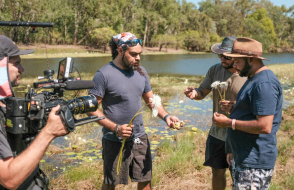 More than 30 per cent of Territorians are Indigenous. How do they see the Voice?