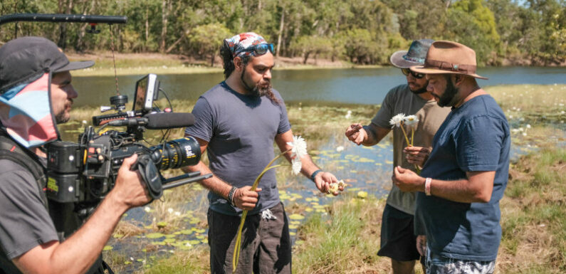 More than 30 per cent of Territorians are Indigenous. How do they see the Voice?