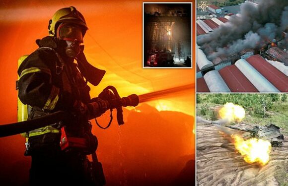 Moscow strikes cripple ports and grain and oil export facilities