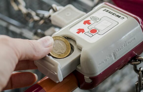 Mother starts row after son 'steals' coins shoppers left in trolleys