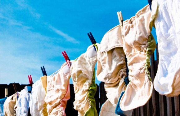 Mrs Hinch fan shares the free but bonkers stain remover method she swears by, and claims it gets rid of ANY marks | The Sun