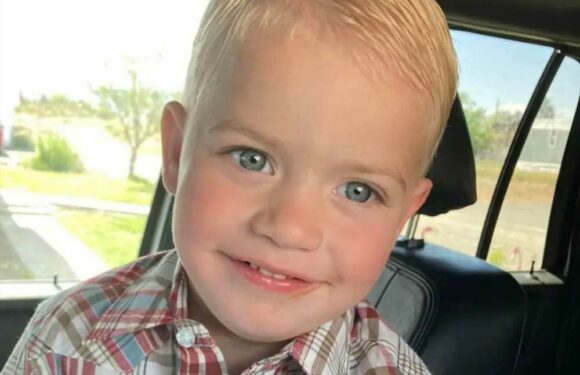 Mum shares heartbreaking photos of little boy, 2, who died after going swimming | The Sun