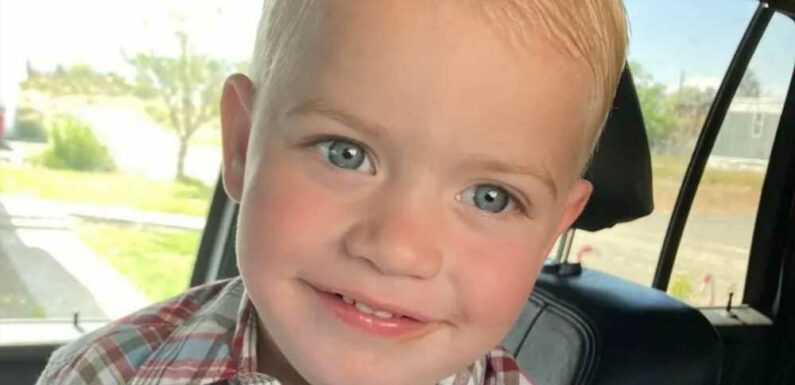 Mum shares heartbreaking photos of little boy, 2, who died after going swimming | The Sun