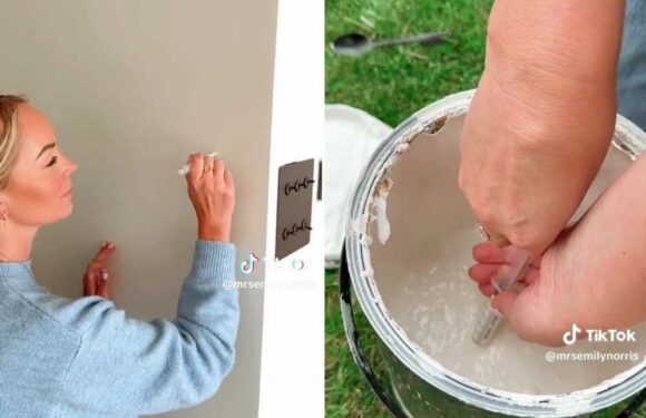 Mum who maintains a spotless home with kids shares £2 buy that is a game changer for keeping walls free of grubby-marks | The Sun