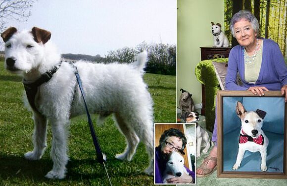 My 'blog-writing' terrier wasn't just a pet – but one of the family