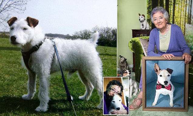 My 'blog-writing' terrier wasn't just a pet – but one of the family
