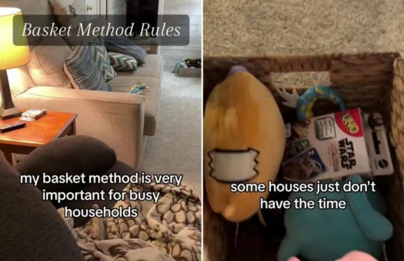 My basket method is key if you long for a tidy home but have kids & there’s 3 rules but it’ll give you more chill time | The Sun