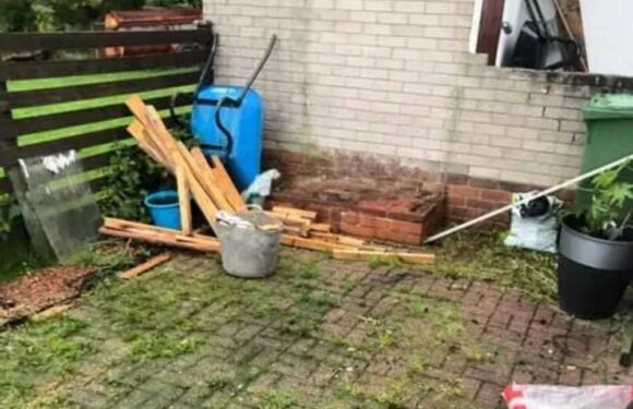 My garden was miserable but I gave it a cheap glow up – it now looks fresh out of Ibiza…don’t skip Aldi for glam buys | The Sun