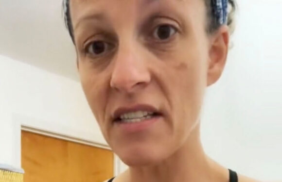 My hillbilly hack adds more privacy to my chainlink fence – it even stands up to the soaking rain | The Sun