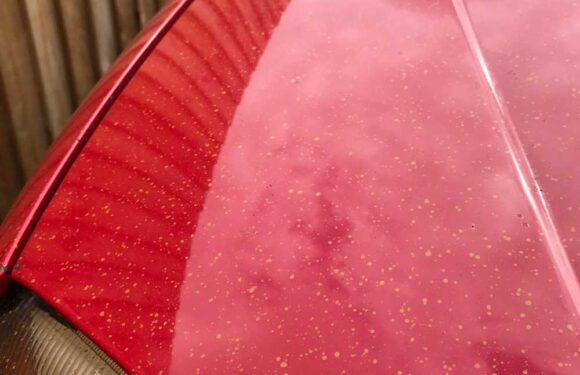 My neighbours thought it was a good idea to paint their fence but I was fuming when I saw what it’d done to my car | The Sun