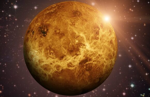 My weekly horoscope: What will June 22 to 29 bring for MY star sign?