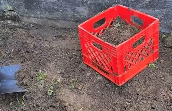 My 'milk crate' hack makes sifting soil so much easier – it's absolutely genius | The Sun