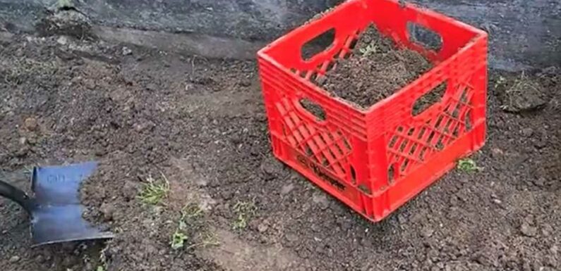 My 'milk crate' hack makes sifting soil so much easier – it's absolutely genius | The Sun