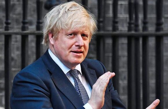 Netflix insider says they didn't back Boris film