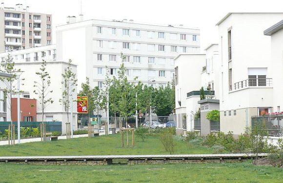 Newborn baby is found dead and dismembered in a rucksack in Paris