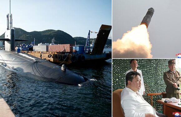 North Korea warns America may have met threshold for using NUKES