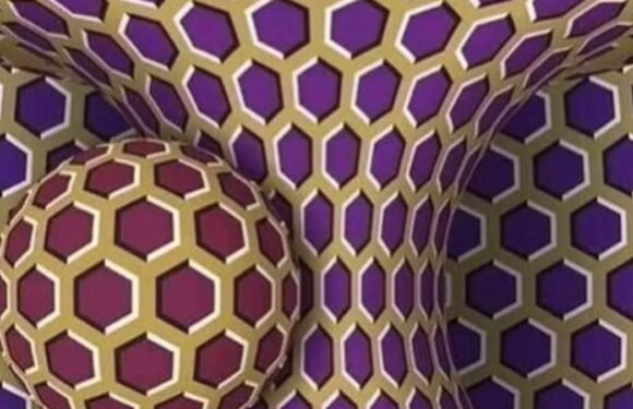 Optical illusion claims to reveal how stressed you are