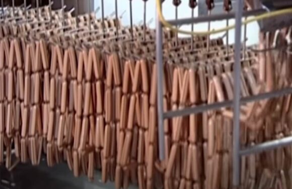 People are shocked after video reveals how hot dogs are made