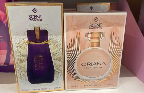 Perfume fans go crazy for B&M's new-in £3.99 scents with an Alien dupe that's £121 cheaper and smells amazing | The Sun