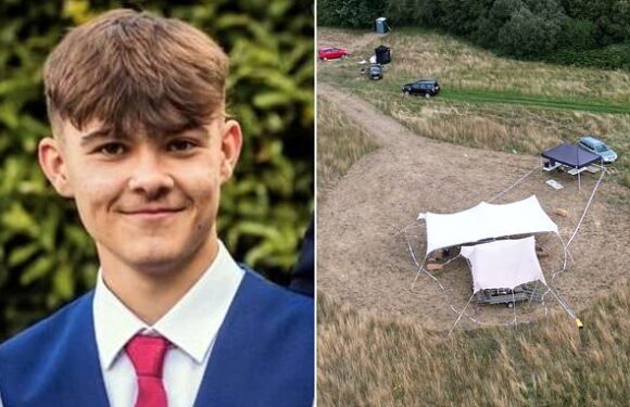 Pictured: Teenager, 17, stabbed to death at end-of-term marquee party