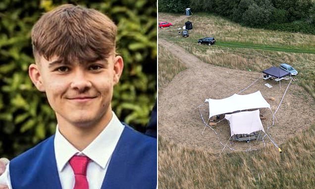 Pictured: Teenager, 17, stabbed to death at end-of-term marquee party