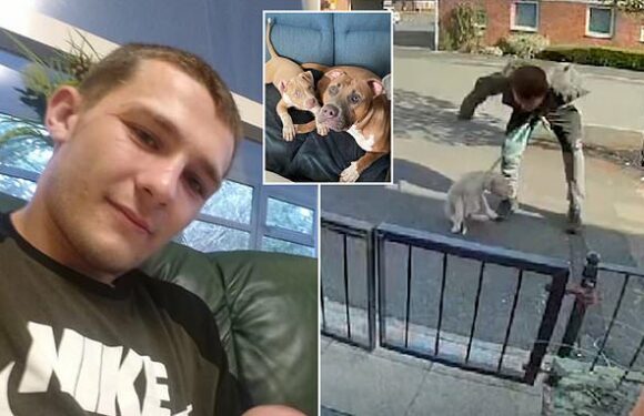 Pictured: Vile dog owner who was filmed punching puppy in the head