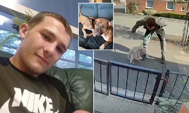 Pictured: Vile dog owner who was filmed punching puppy in the head