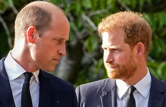 Prince Harry and William’s ‘peace talks’ are ‘untrue’ as brothers’ feud continues