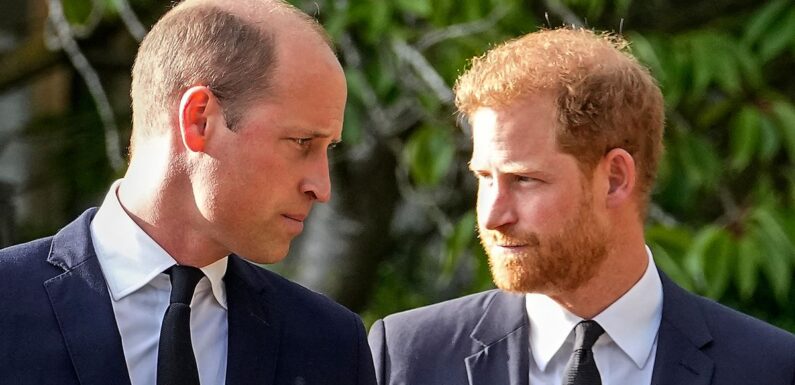 Prince Harry and William’s ‘peace talks’ are ‘untrue’ as brothers’ feud continues