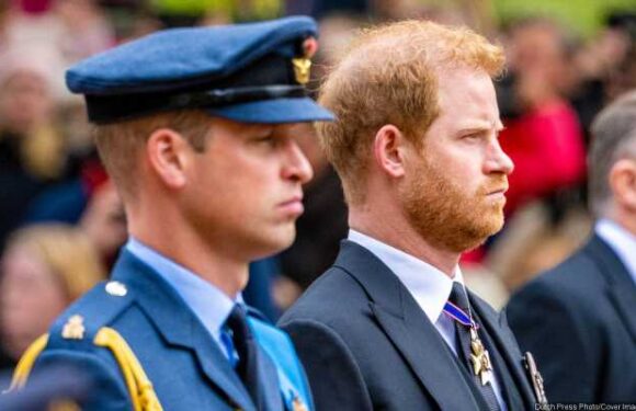 Prince William ‘Stunned’ by Prince Harry’s ‘Secret’ Attempts to Call a Truce