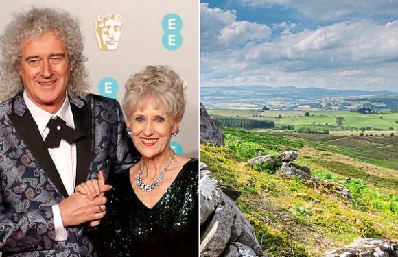 Queen guitarist Sir Brian May might buy £35million estate