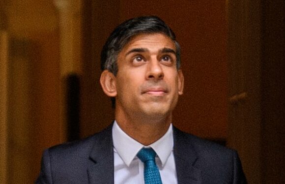 Rishi calls for unity as Conservatives brace for 'battle' at poll