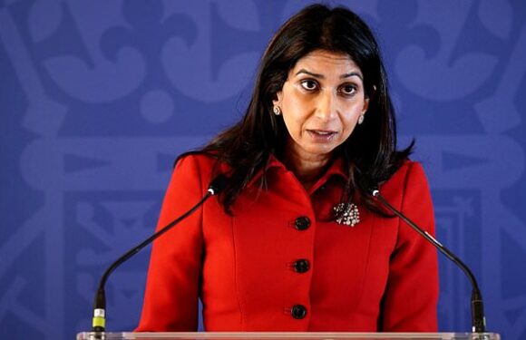 SUELLA BRAVERMAN: Labour blocking us cracking down on illegal migrants