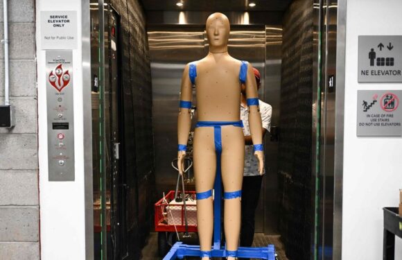 Scientists turn to sweaty robot for answers as dozens die in brutal 46C heatwave